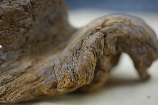 越南富森紅土急沉16克