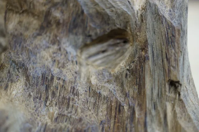 菩薩沉香奇味122.9g