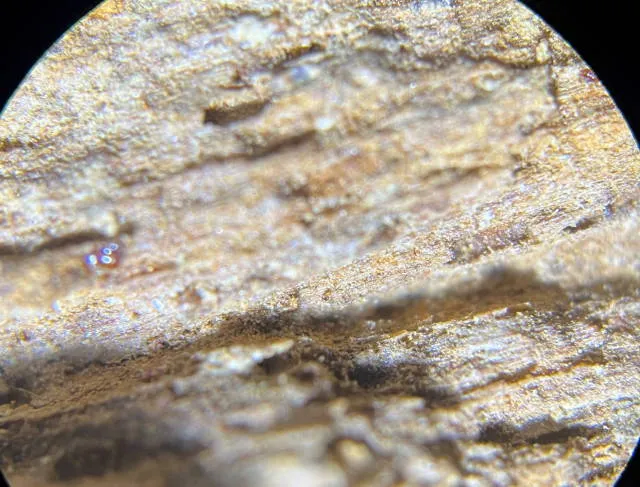 富森紅土水浮11.5g沉香