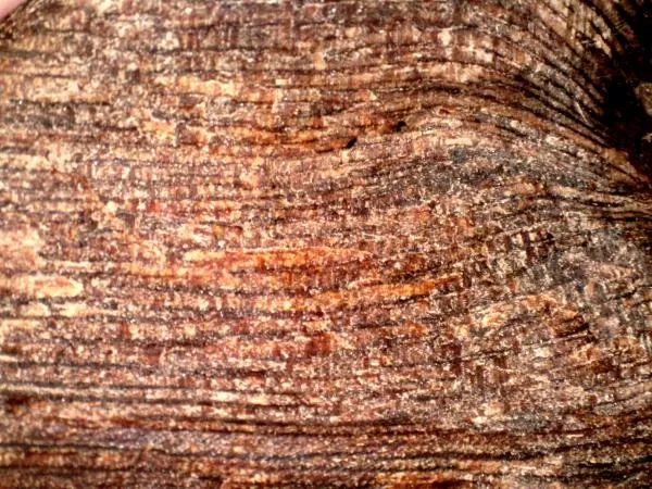 越南惠安急沉27.76g