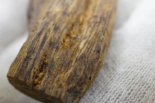 越南野生白奇楠生結(2.89克