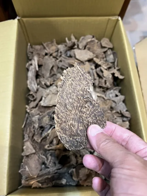 野生香港沉香小塊