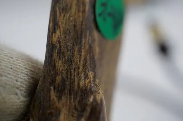 達拉干急沉3.26g沉香