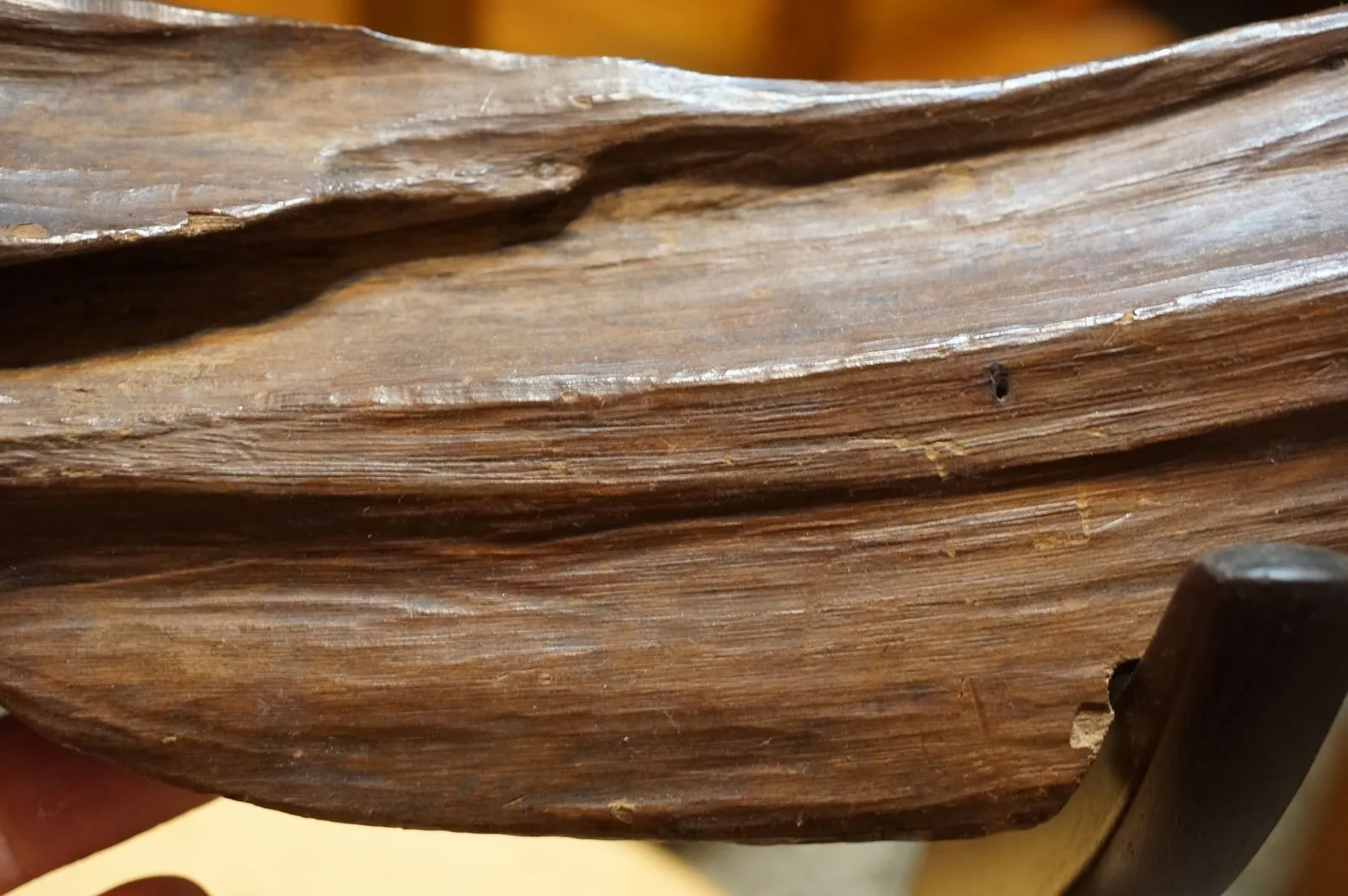 印尼Jayapula水沉木