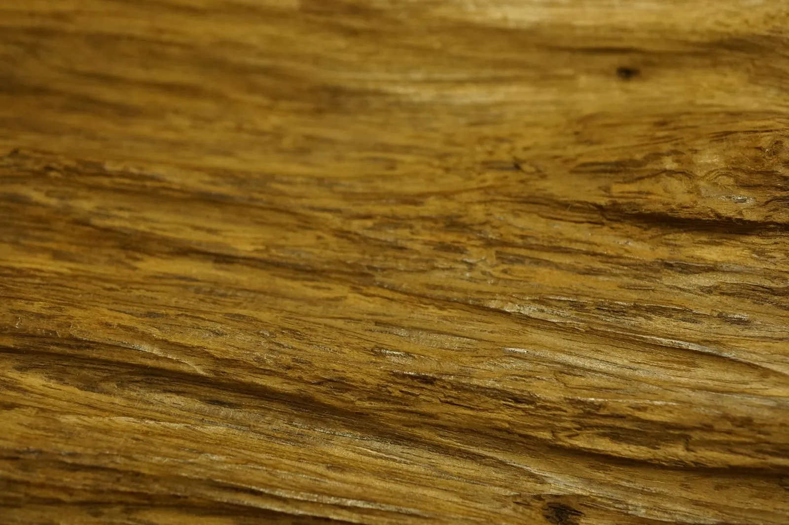 Jayapula半沉奇木