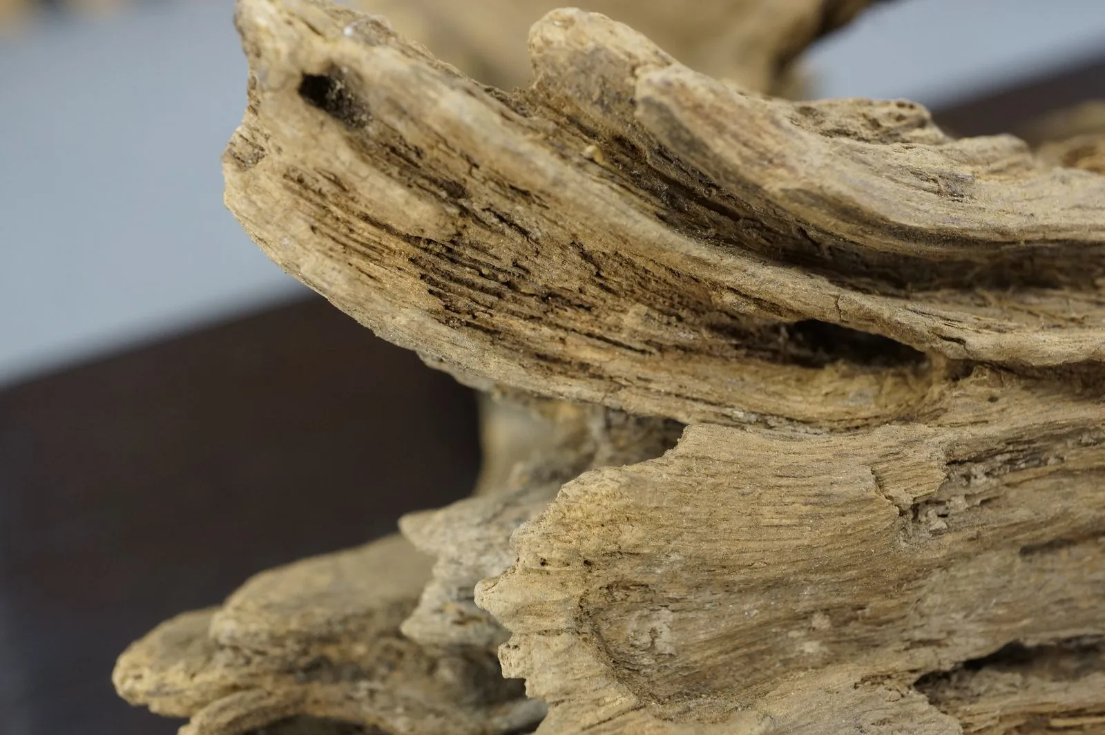 大件綠奇楠(一)~122.05g