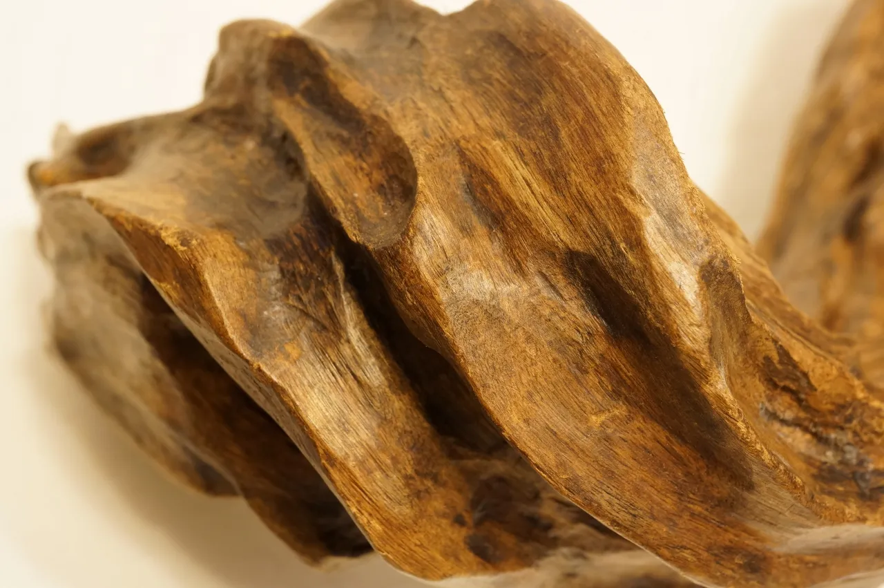 Jayapula水沉浮沉木~920g