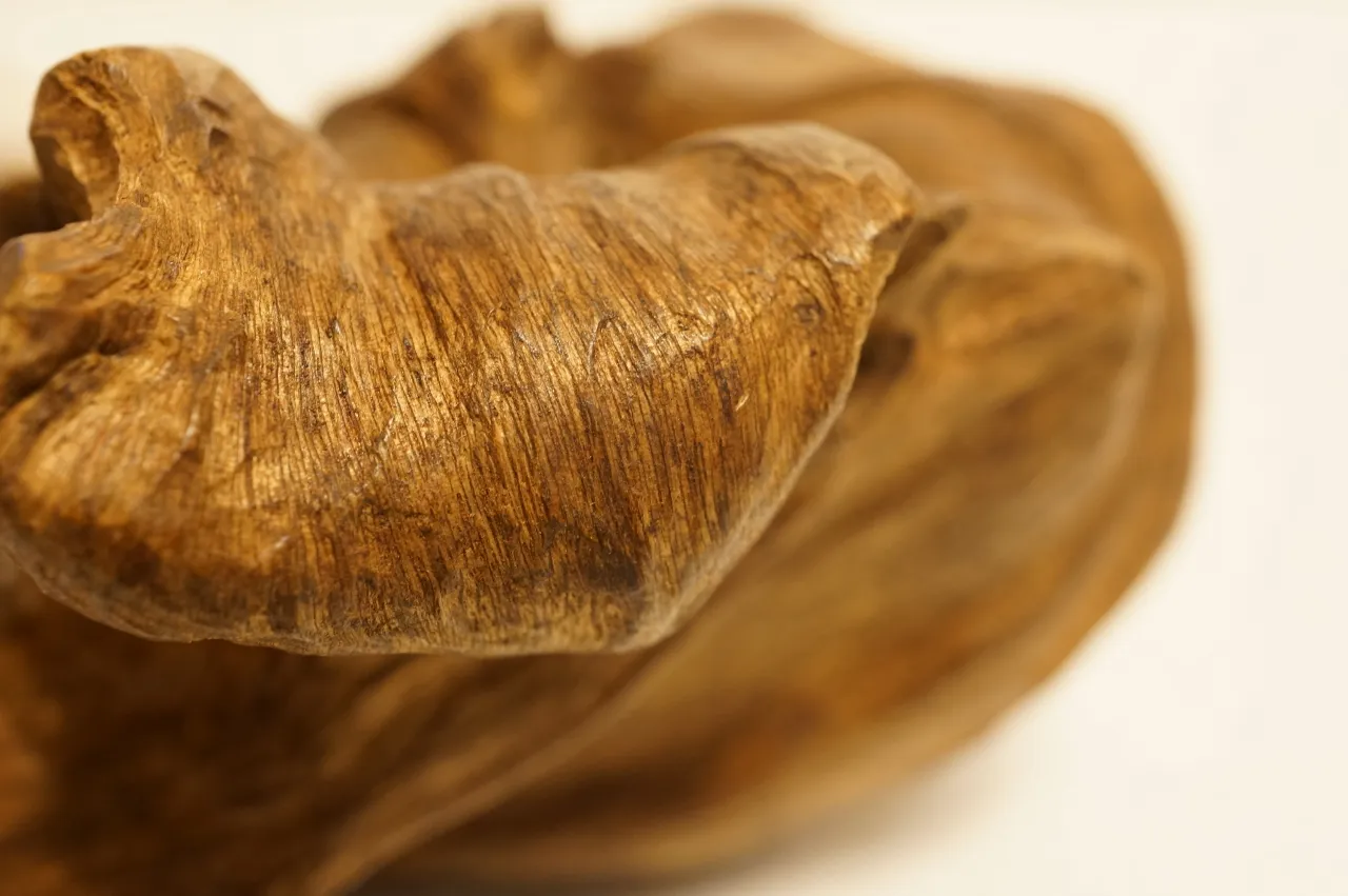 印尼索龍水沉浮