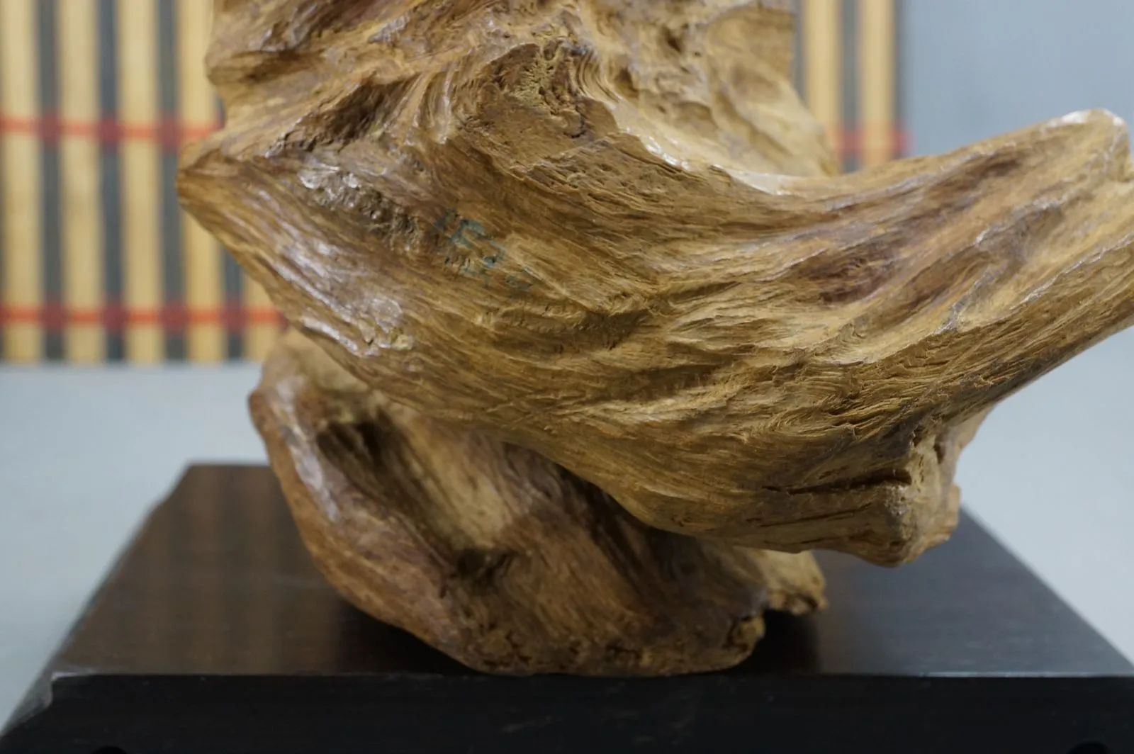 印尼索龍水沉浮~太極