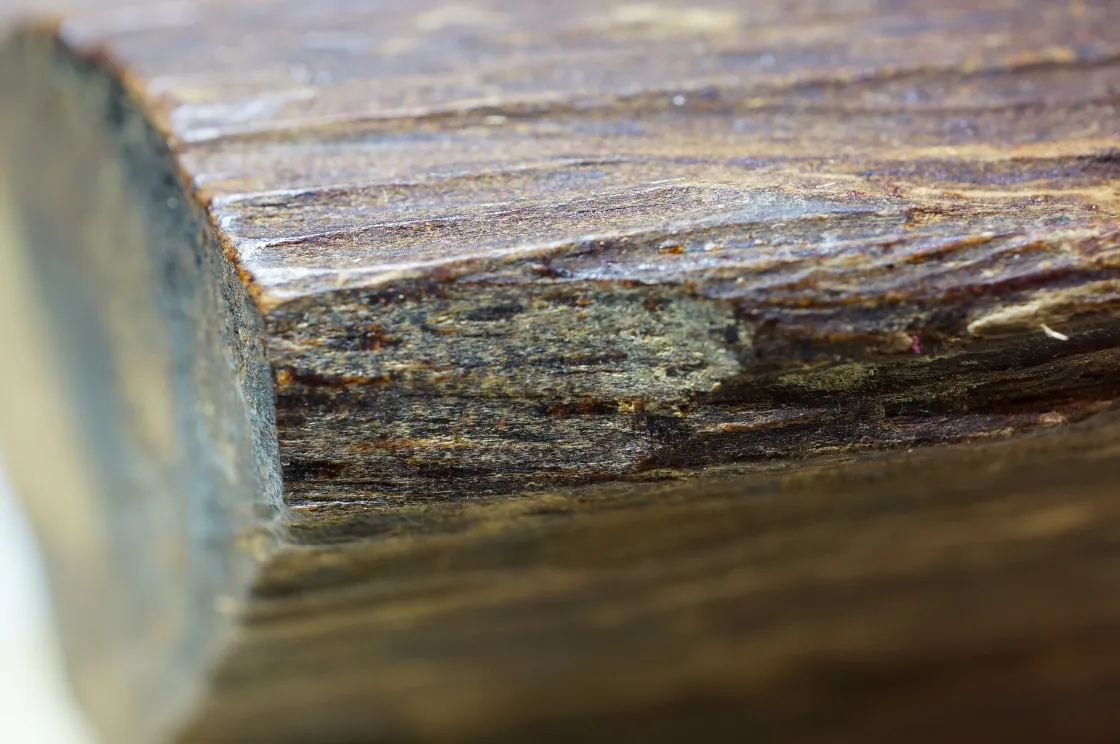 早期越南芽莊急沉