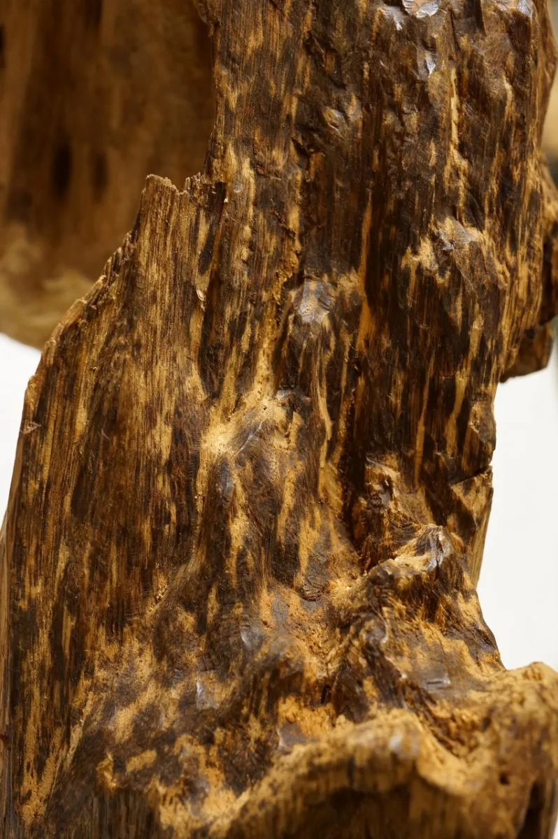 野生越南大件沉香