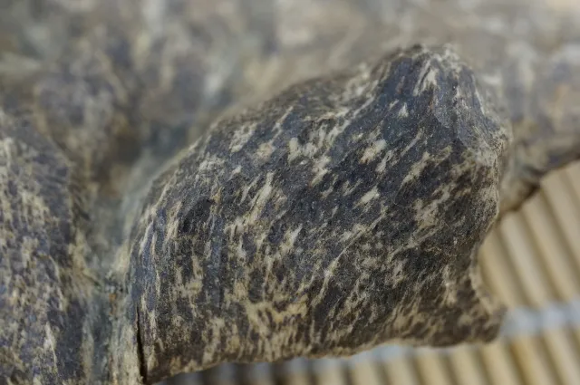 香港沉香水沉浮20.7g