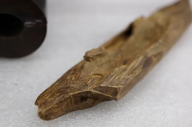 印尼達拉干急沉51克(一夜致富)