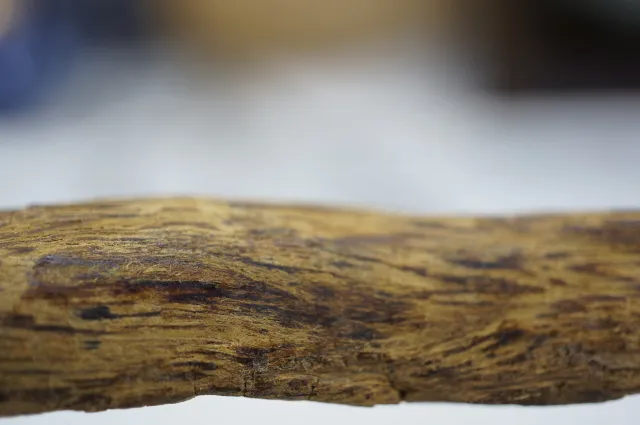 越南綠奇楠(土奇)5.51g