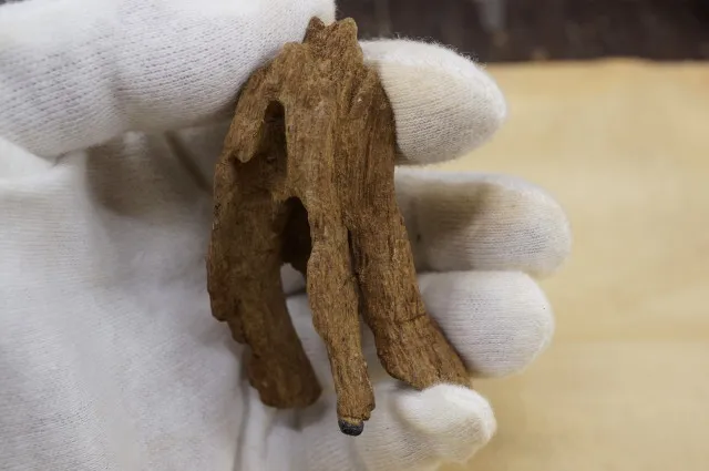 越南廣平紅土急沉9.79g