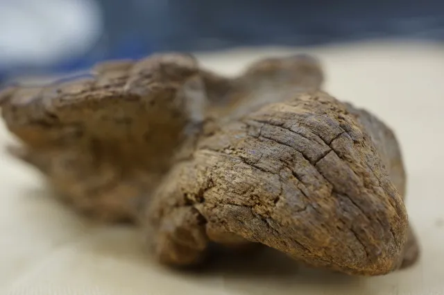 越南富森紅土急沉16克