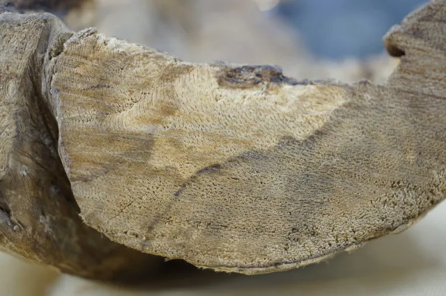 菩薩沉香奇味122.9g