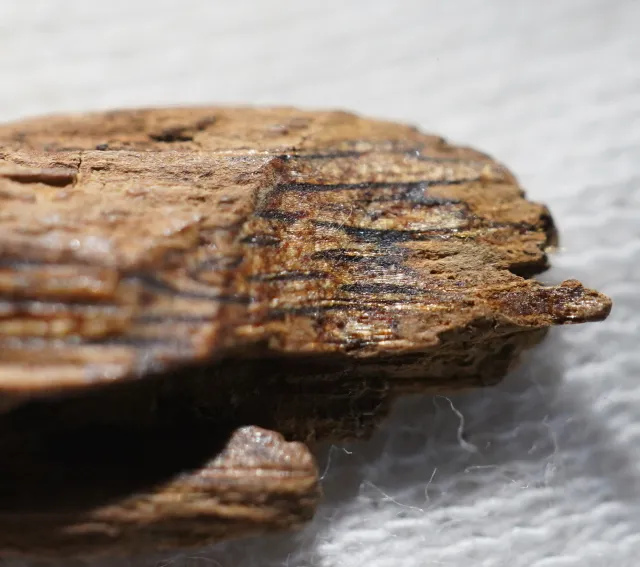 綠奇楠生結0.359g