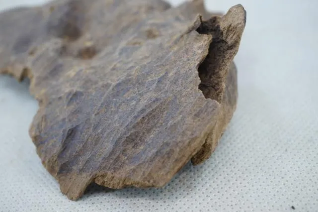 老惠安厚殼25.48g