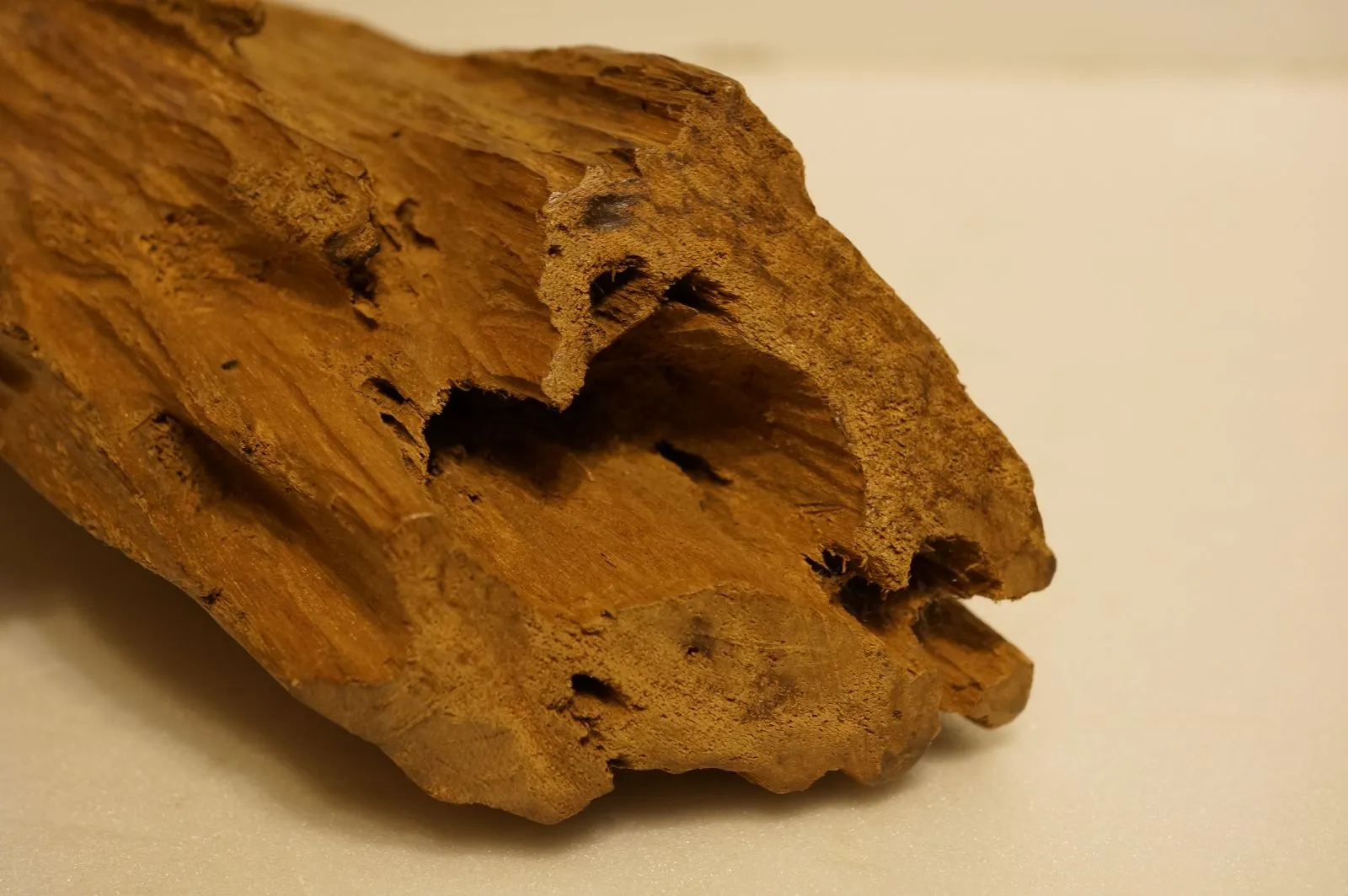 Jayapula半沉奇木