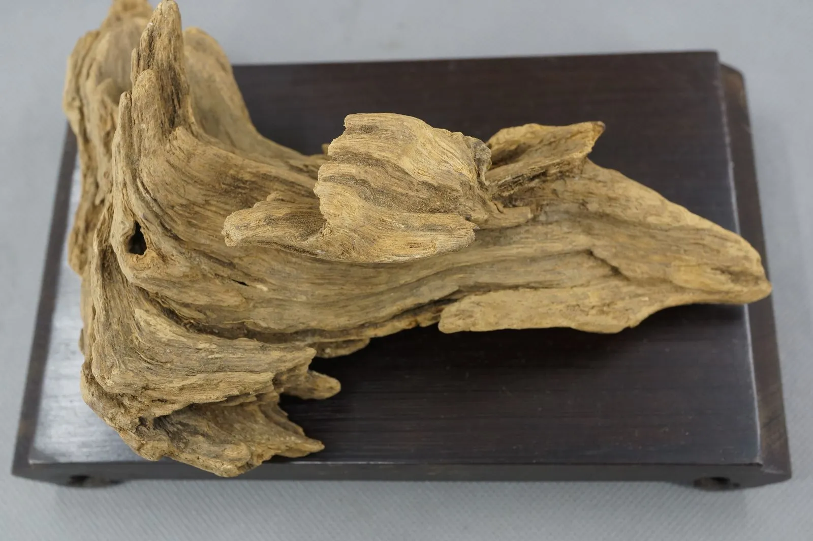 大件綠奇楠(一)~122.05g