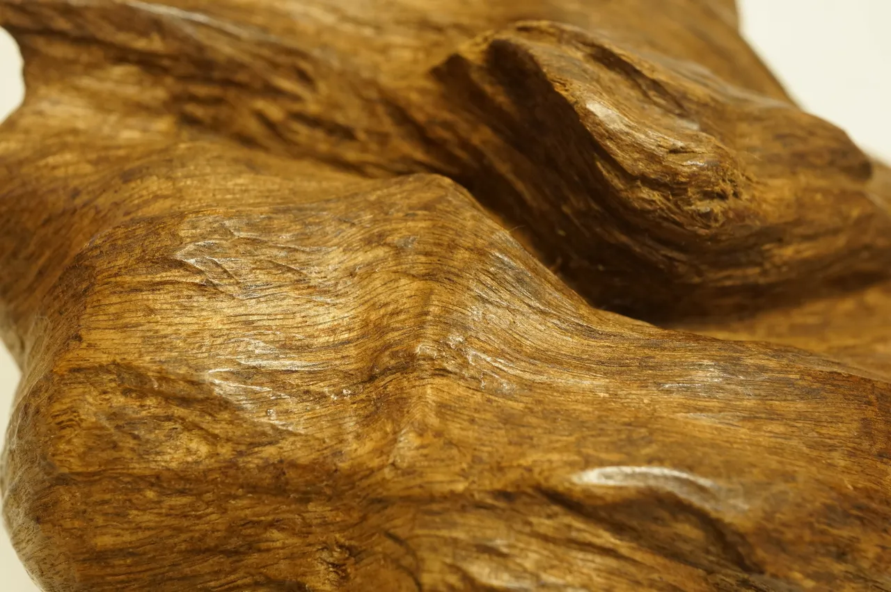 印尼索龍水沉浮