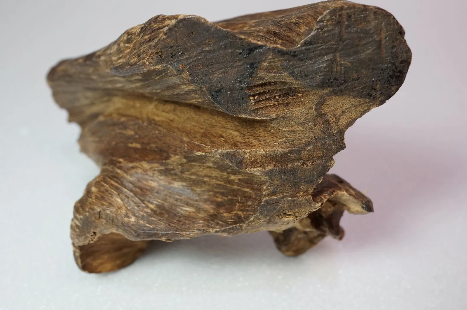 早期越南芽莊急沉