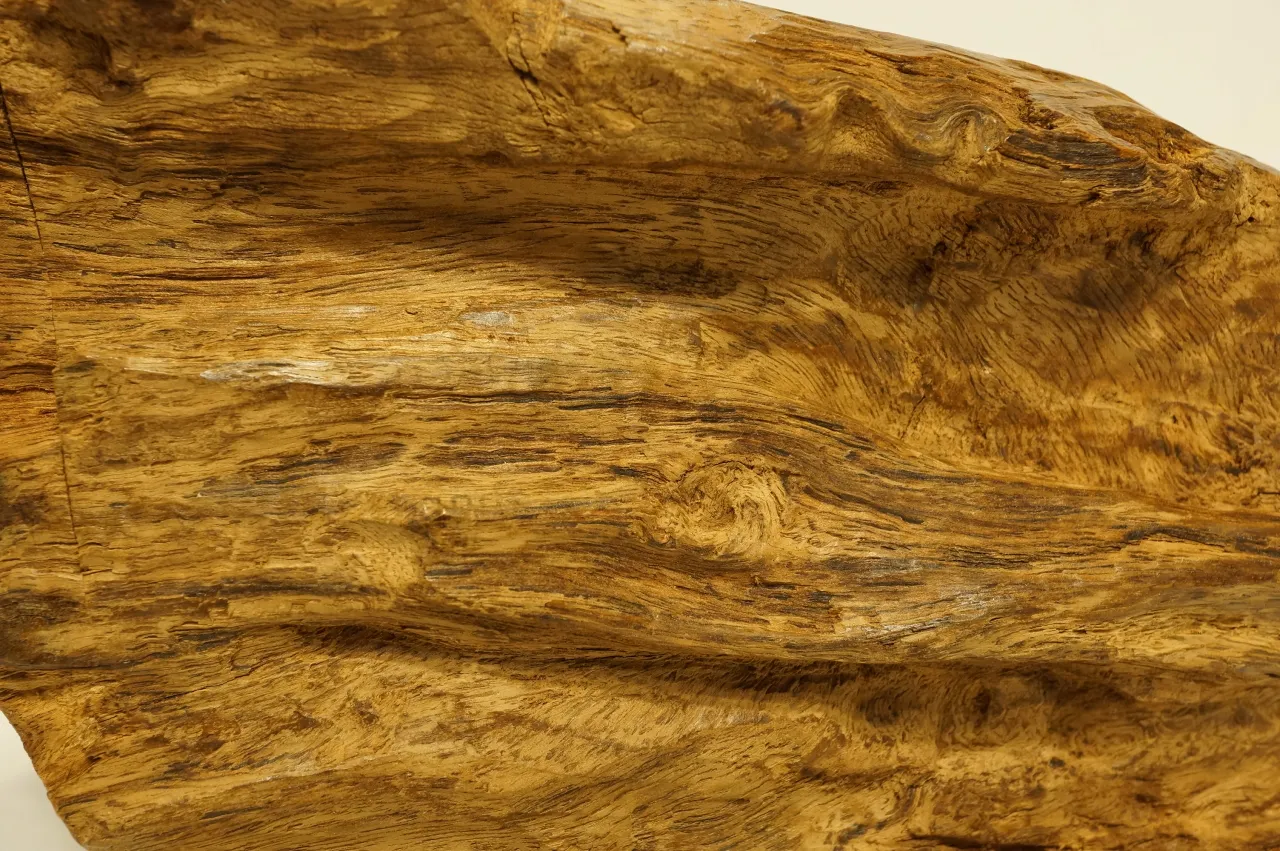 越南惠安犀角水沉浮