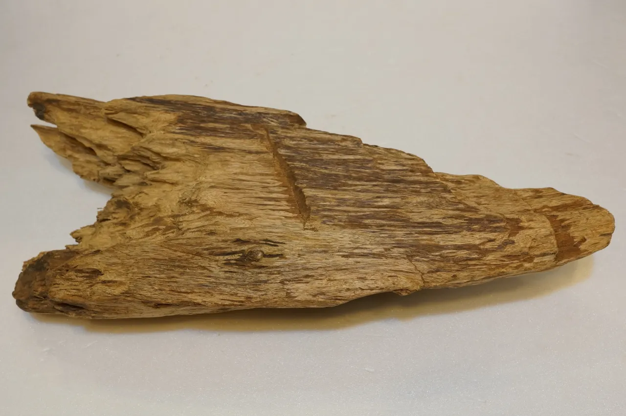 野生巴布亞沉木