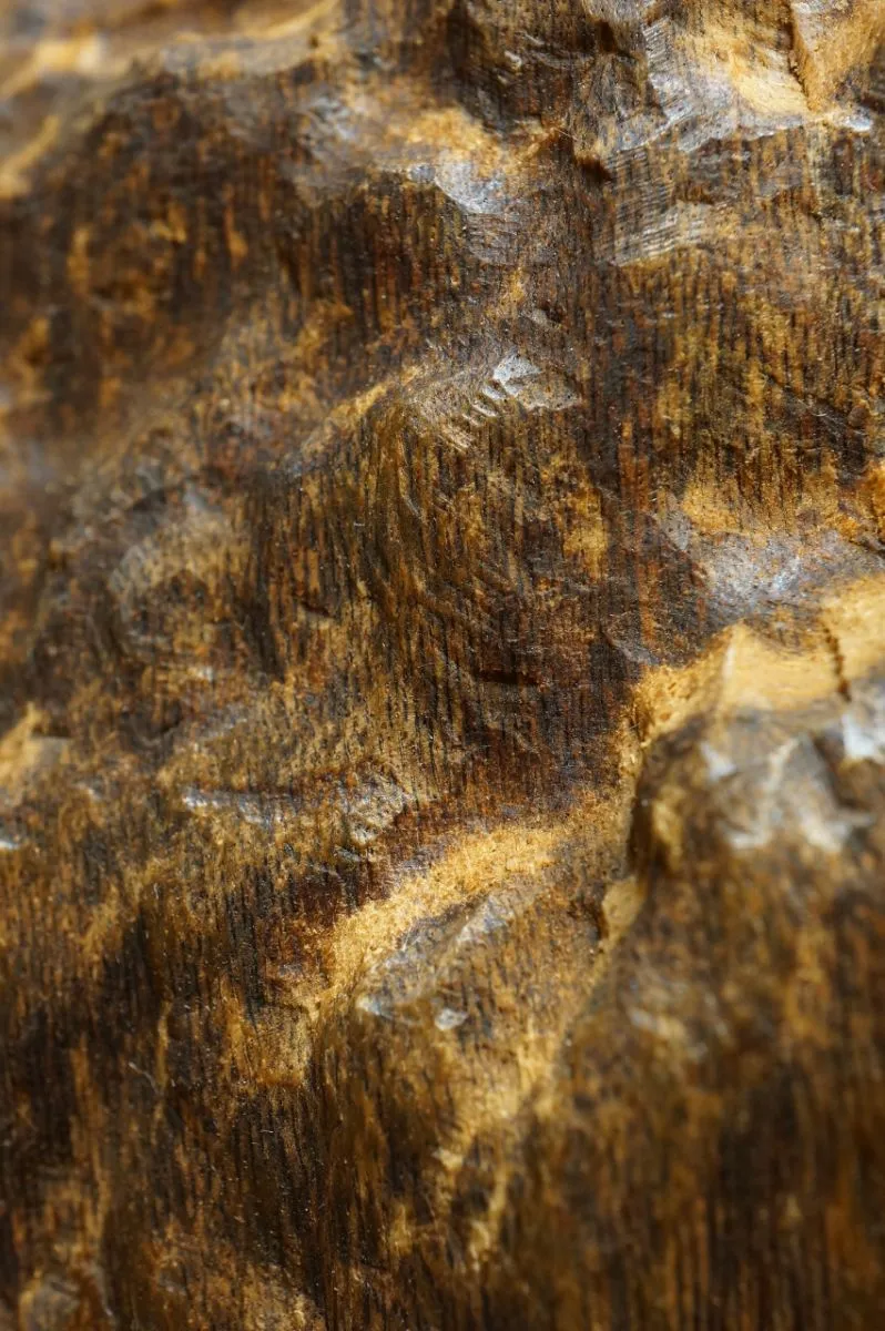 野生越南大件沉香