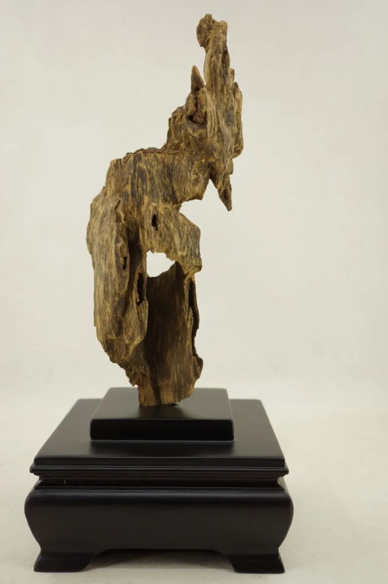 野生越南順化79.6g