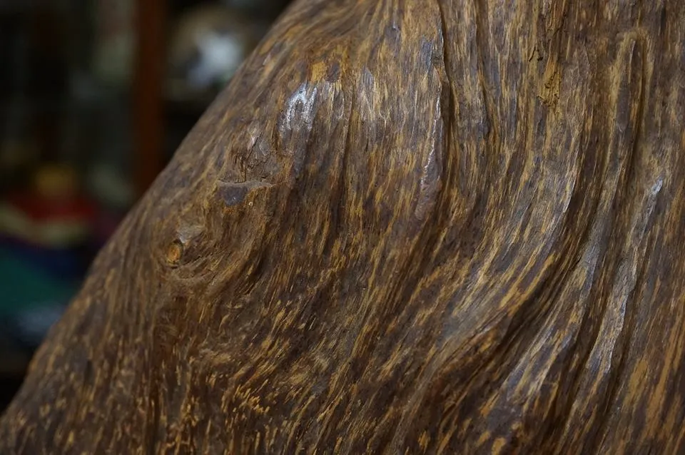 越南紅土沉香.10260g