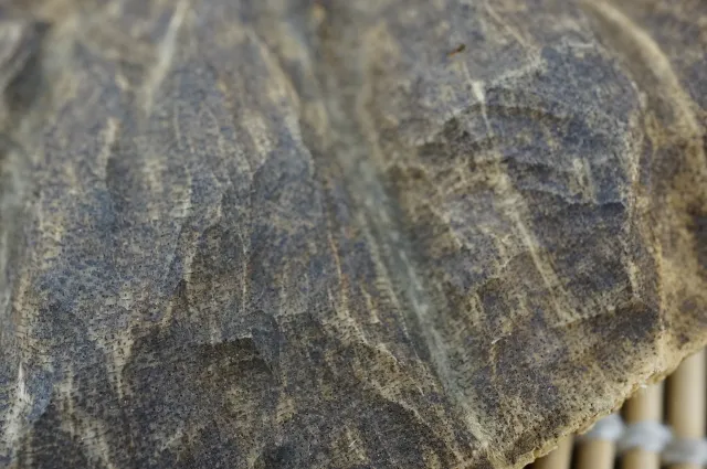 香港沉香水沉浮20.7g