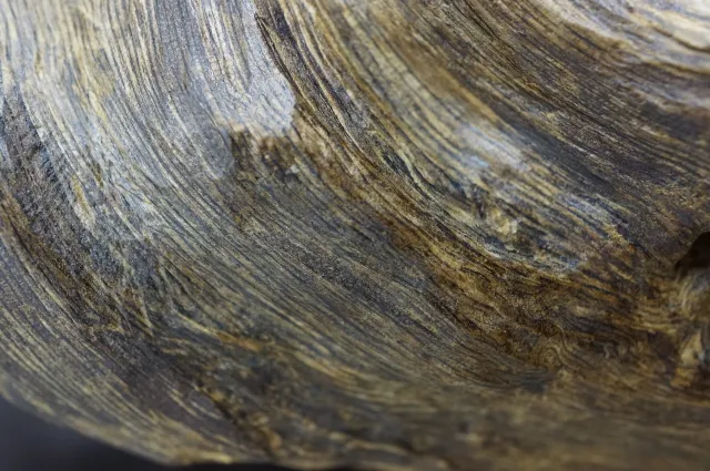 印尼達拉干奇味