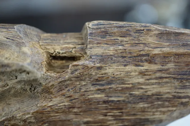 印尼達拉干急沉51克(一夜致富)