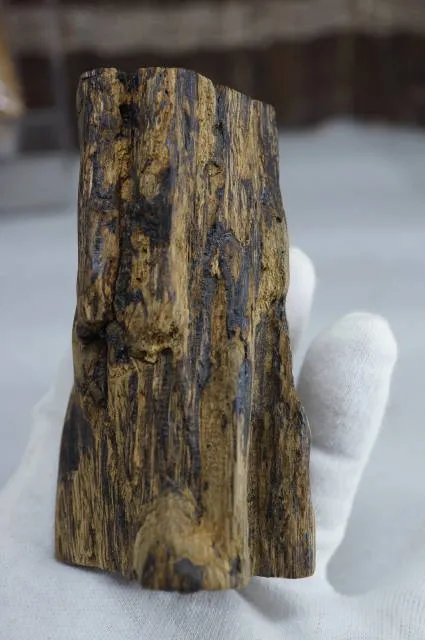 早期汶萊黑油軟絲急沉88.51克