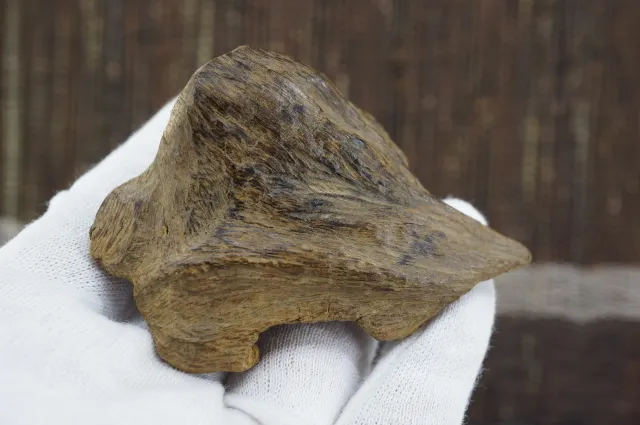 印尼亞齊急沉28.179g