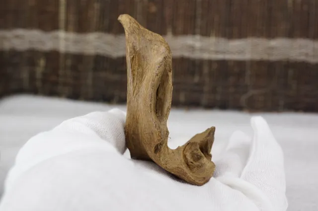 印尼亞齊急沉18.859g