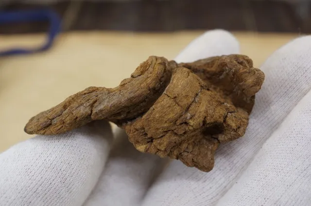 越南富森紅土急沉16克