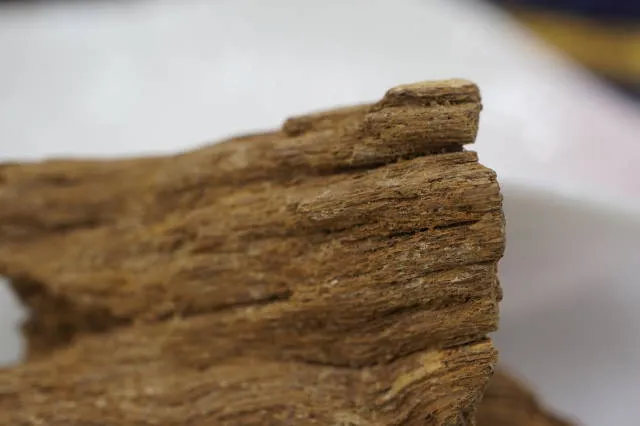 富森紅土水浮11.5g沉香