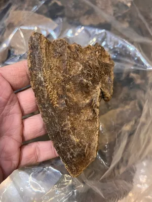 越南老惠安厚殼(每克)