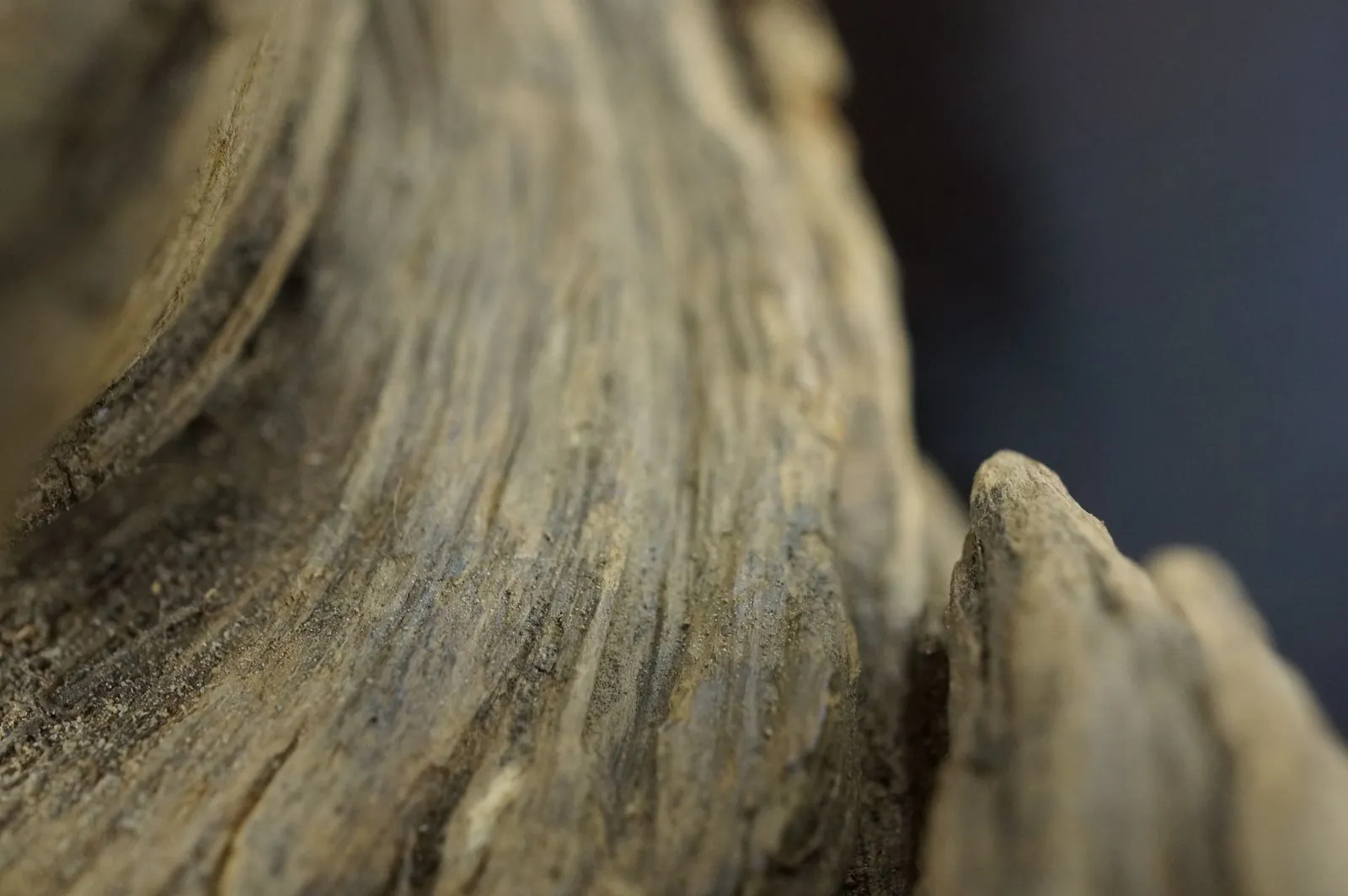 大件綠奇楠(一)~122.05g