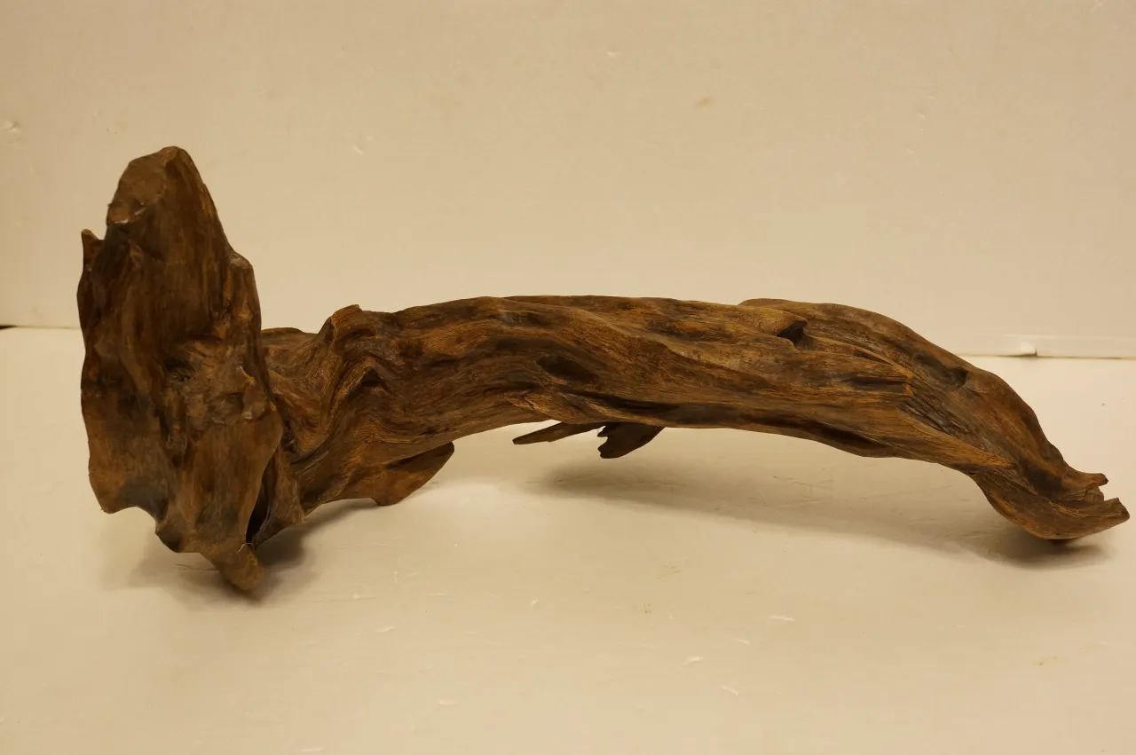 Jayapula水沉浮沉木~920g