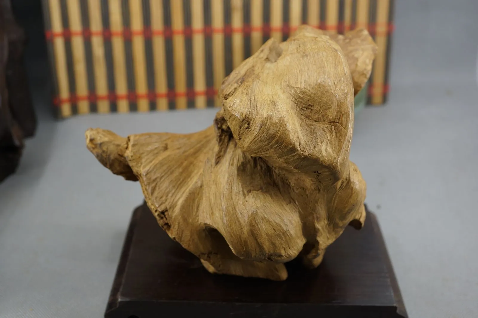 印尼索龍水沉浮~太極