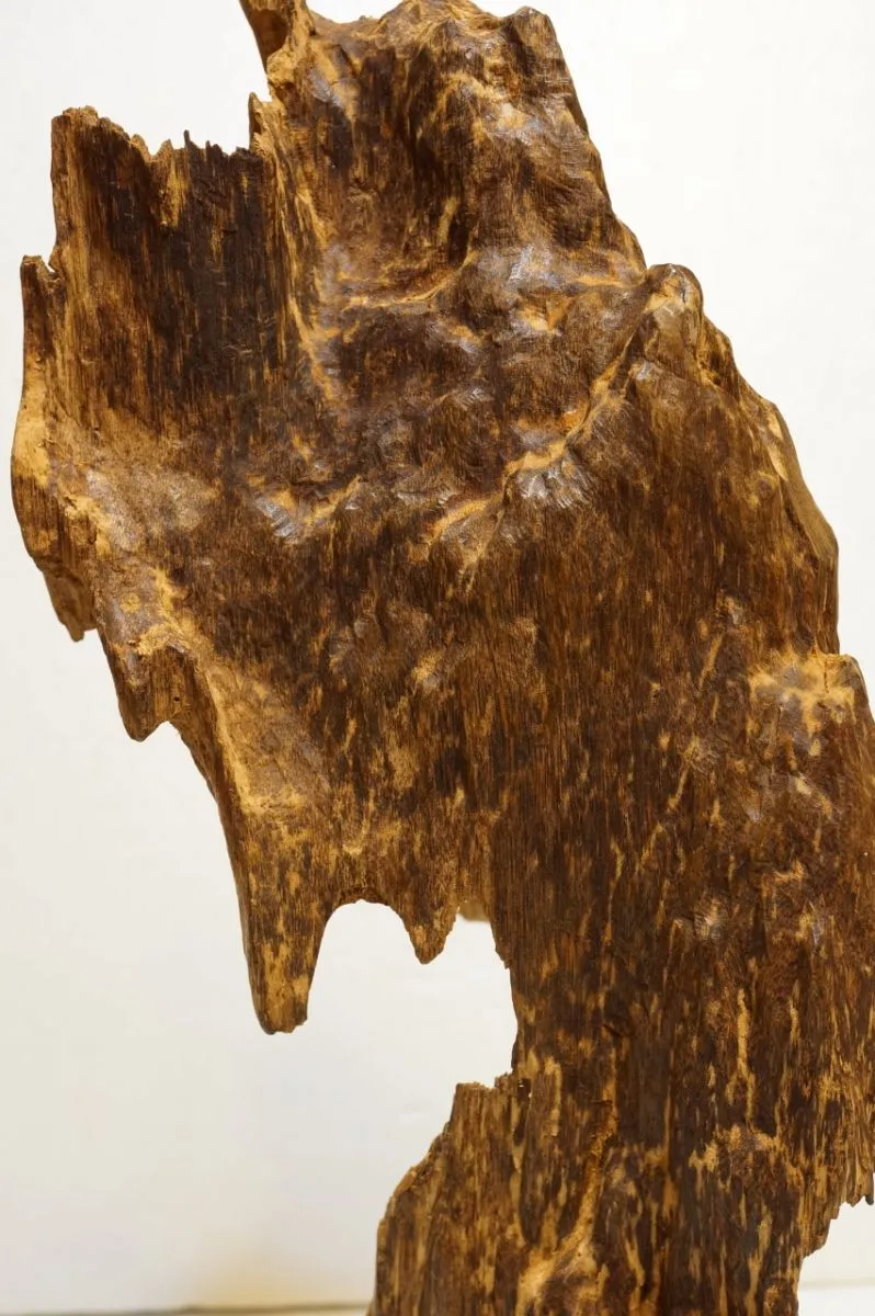 野生越南大件沉香