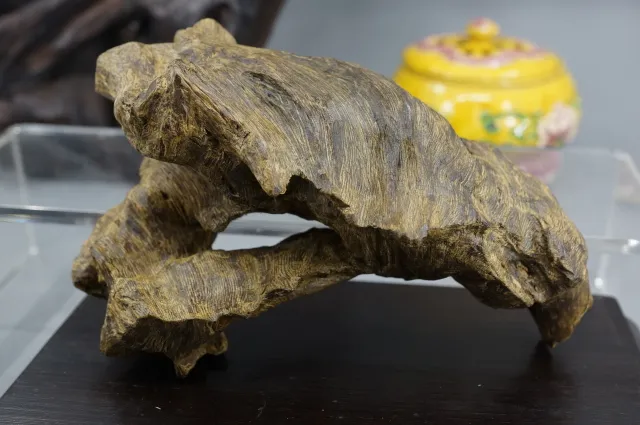 印尼達拉干奇味