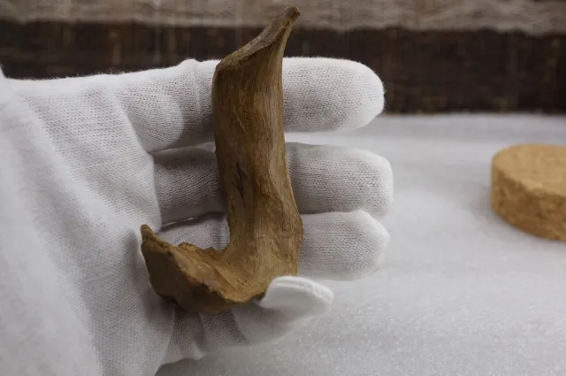 印尼亞齊急沉18.859g