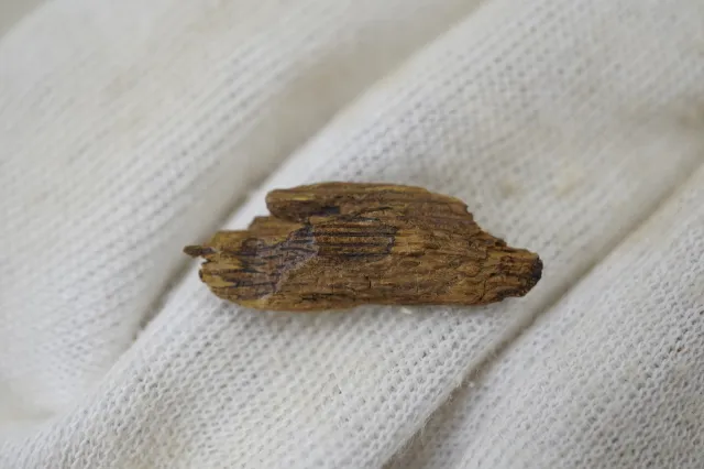 綠奇楠生結0.359g