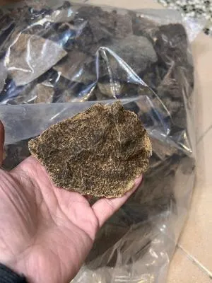 越南老惠安厚殼(每克)