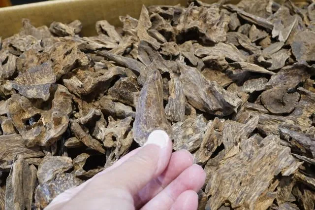 越南惠安老殼沉香每克